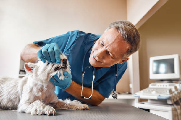 Best Emergency Dental Surgery in Sayreville, NJ